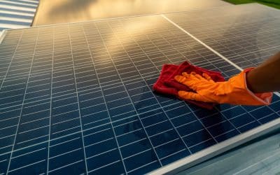 Simple Steps to Maintain Your Solar Panels