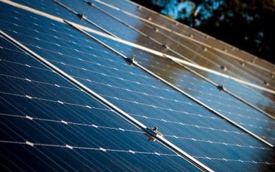 Switching to Solar: A Step-by-Step Guide